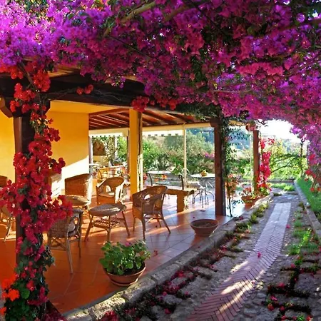 Suliana Guest house *